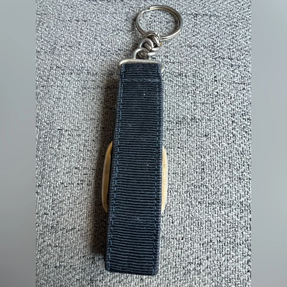 Salvatore Ferragamo Vara Bow Fabric Keychain with Silver Detail